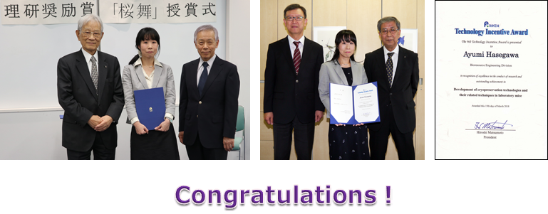 FY2017 RIKEN Technology Incentive Award was given to Ms. Ayumi Hasegawa.